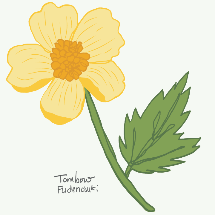 Buttercup using Tombow Fudenosuke pen