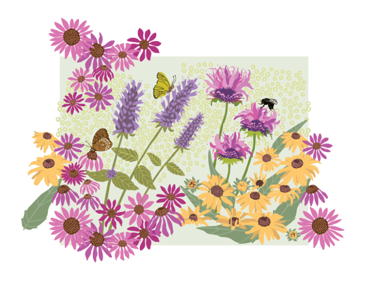 flower garden design by Kerry Boan Creative