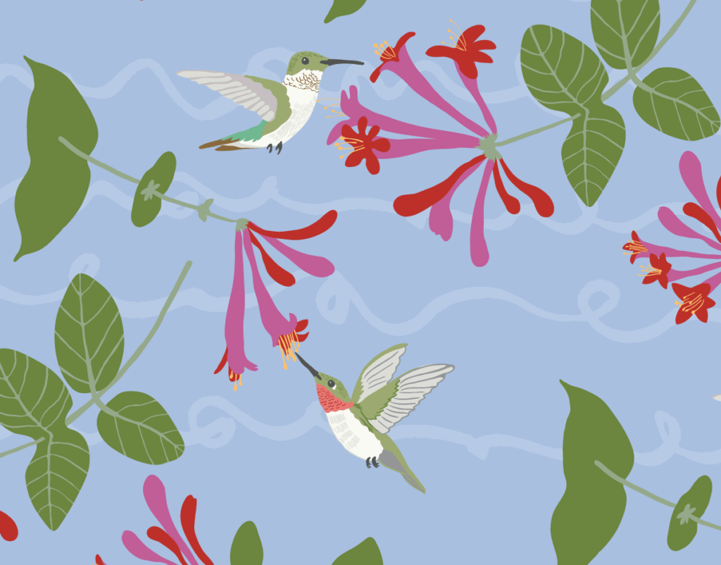 Hummingbirds and honeysuckle repeat pattern design - by Kerry Boan Creative
