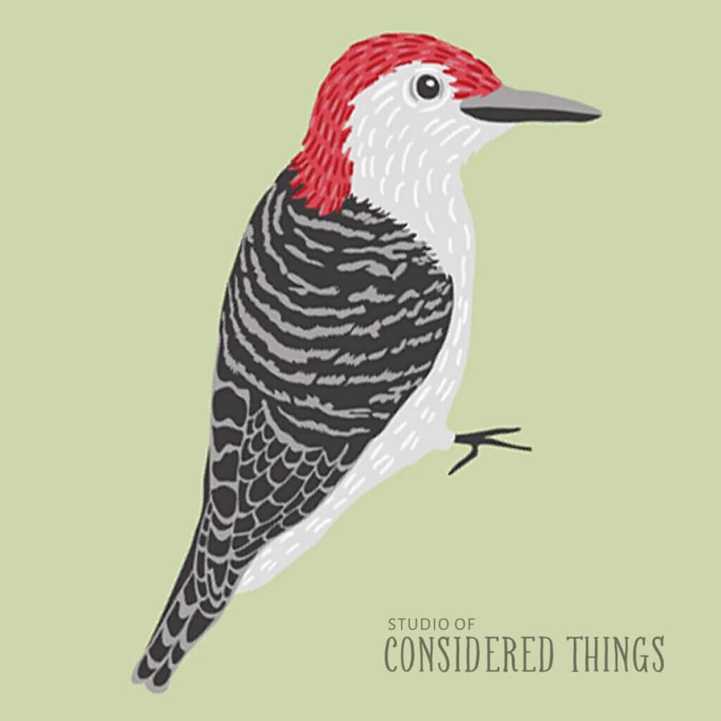 Adobe Illustrator Blob Brush Tool