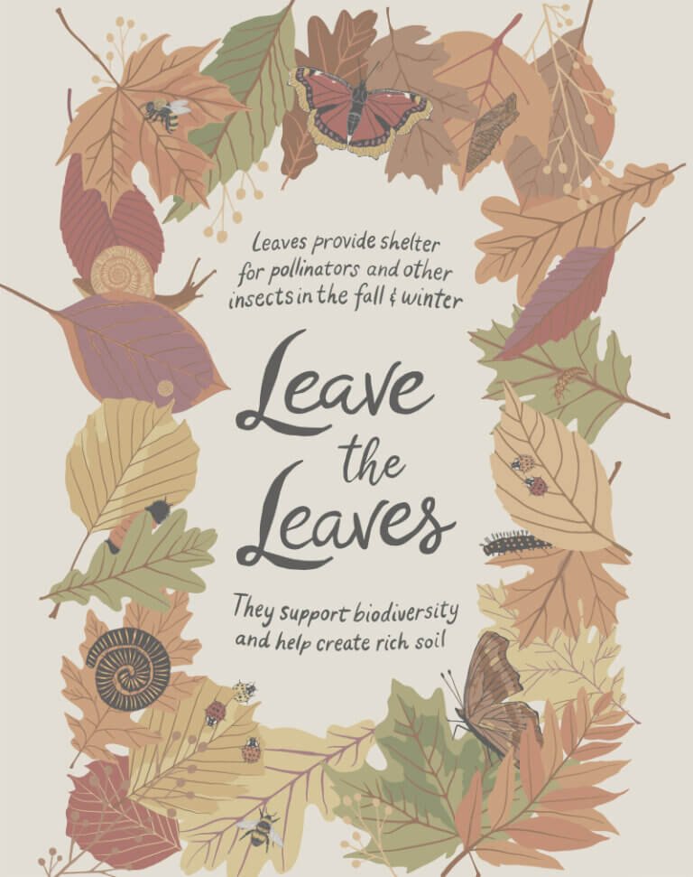 Leave the Leaves: Studio of Considered Things