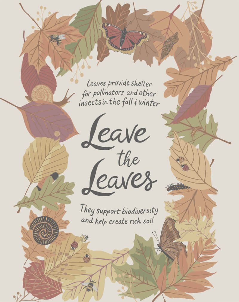 Leave the Leaves: Studio of Considered Things